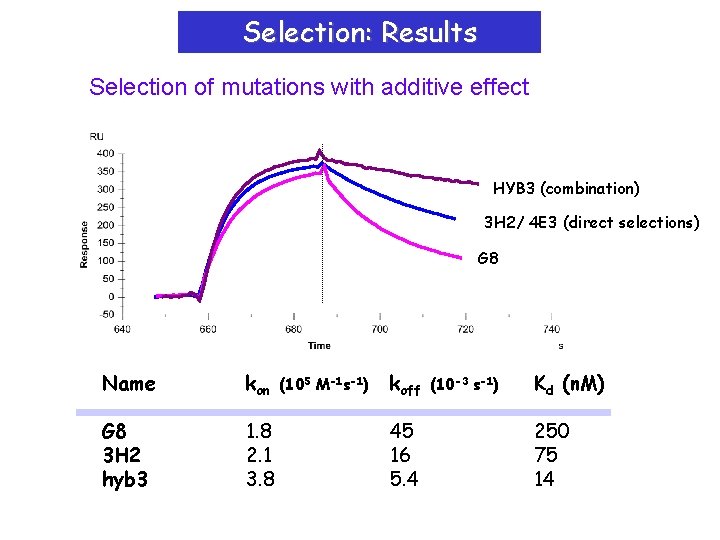 Selection: Results Selection of mutations with additive effect HYB 3 (combination) 3 H 2/