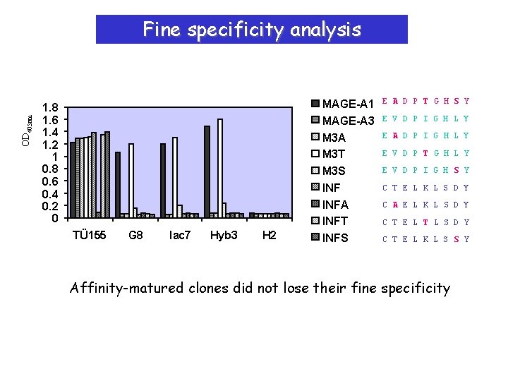 OD 405 nm Fine specificity analysis 1. 8 1. 6 1. 4 1. 2