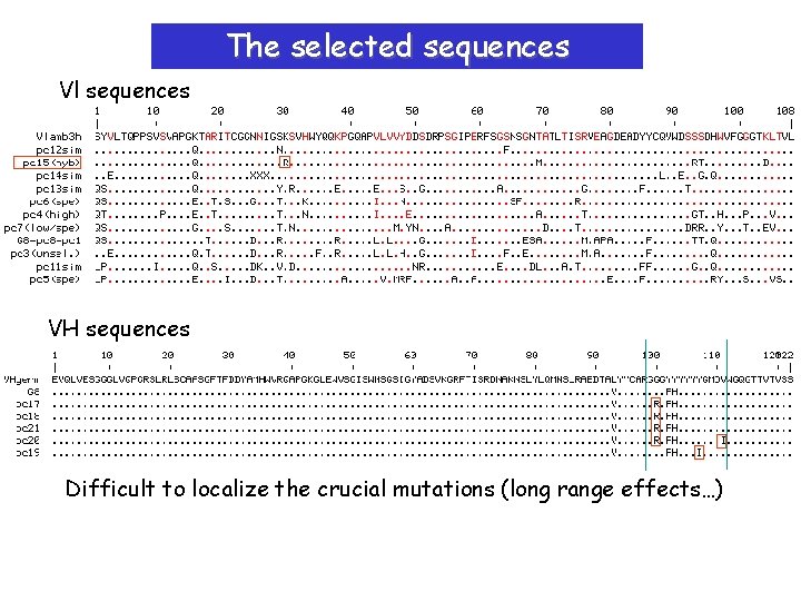 The selected sequences Vl sequences VH sequences Difficult to localize the crucial mutations (long