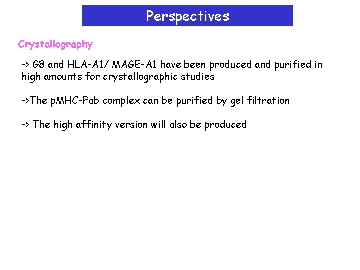 Perspectives Crystallography -> G 8 and HLA-A 1/ MAGE-A 1 have been produced and