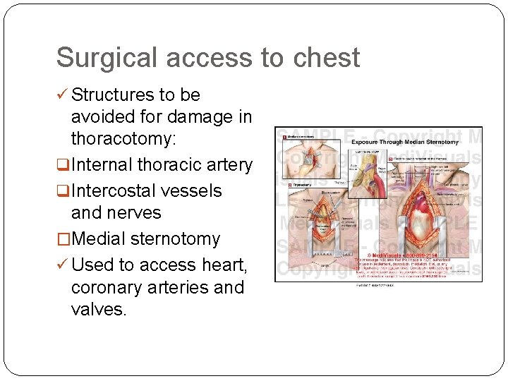Surgical access to chest ü Structures to be avoided for damage in thoracotomy: q