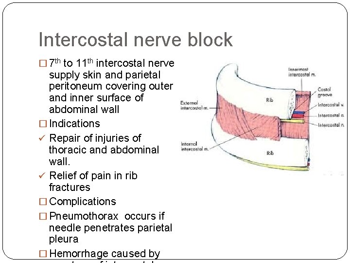 Intercostal nerve block � 7 th to 11 th intercostal nerve supply skin and