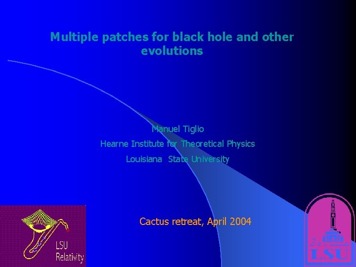 Multiple patches for black hole and other evolutions Manuel Tiglio Hearne Institute for Theoretical