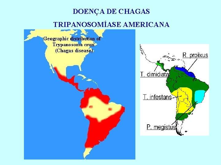 DOENÇA DE CHAGAS TRIPANOSOMÍASE AMERICANA 