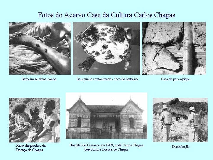 Fotos do Acervo Casa da Cultura Carlos Chagas Barbeiro se alimentando Xeno-diagnóstico da Doença