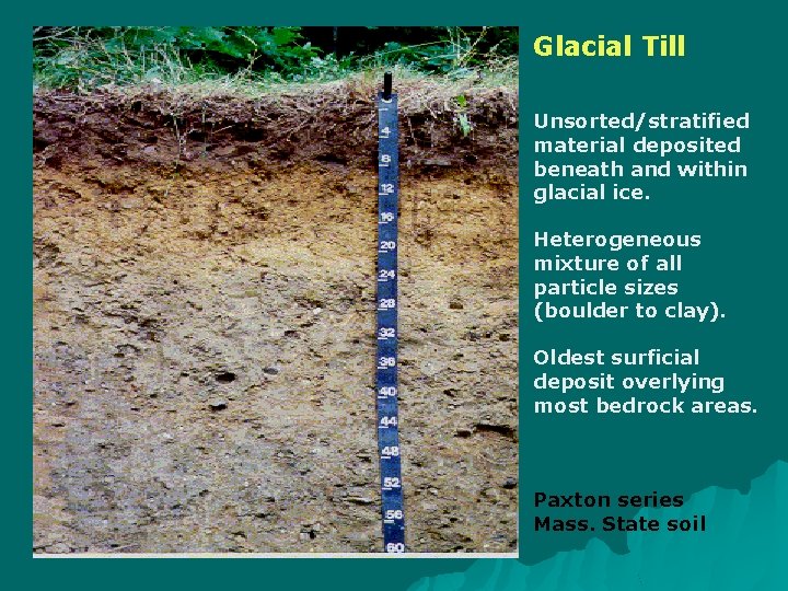 Glacial Till Unsorted/stratified material deposited beneath and within glacial ice. Heterogeneous mixture of all