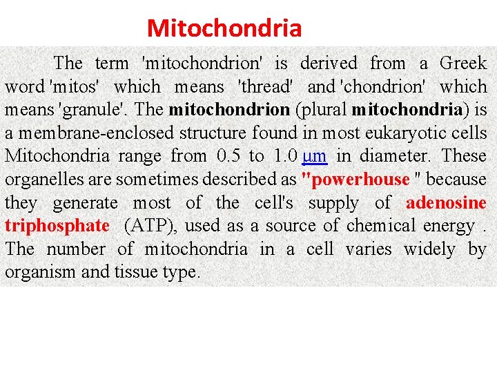 Mitochondria The term 'mitochondrion' is derived from a Greek word 'mitos' which means 'thread' Mitochondria The term 'mitochondrion' is derived from a Greek word 'mitos' which means 'thread'