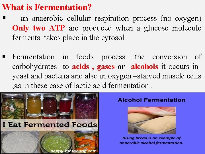 What is Fermentation? § an anaerobic cellular respiration process (no oxygen) Only two ATP What is Fermentation? § an anaerobic cellular respiration process (no oxygen) Only two ATP