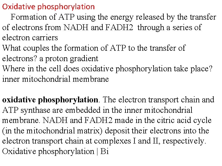 Oxidative phosphorylation Formation of ATP using the energy released by the transfer of electrons Oxidative phosphorylation Formation of ATP using the energy released by the transfer of electrons