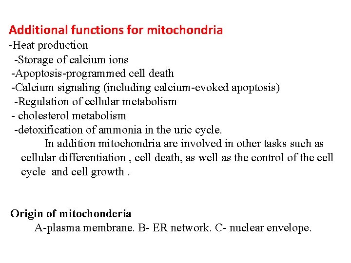 Additional functions for mitochondria -Heat production -Storage of calcium ions -Apoptosis-programmed cell death -Calcium Additional functions for mitochondria -Heat production -Storage of calcium ions -Apoptosis-programmed cell death -Calcium