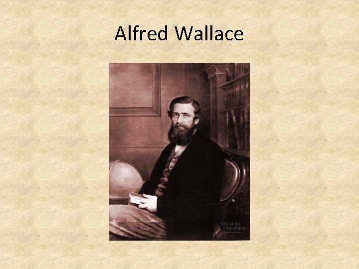 Alfred Wallace 