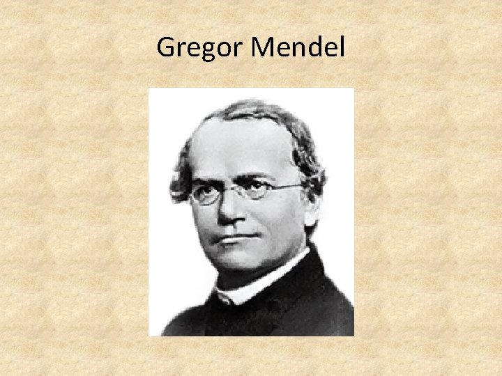 Gregor Mendel 