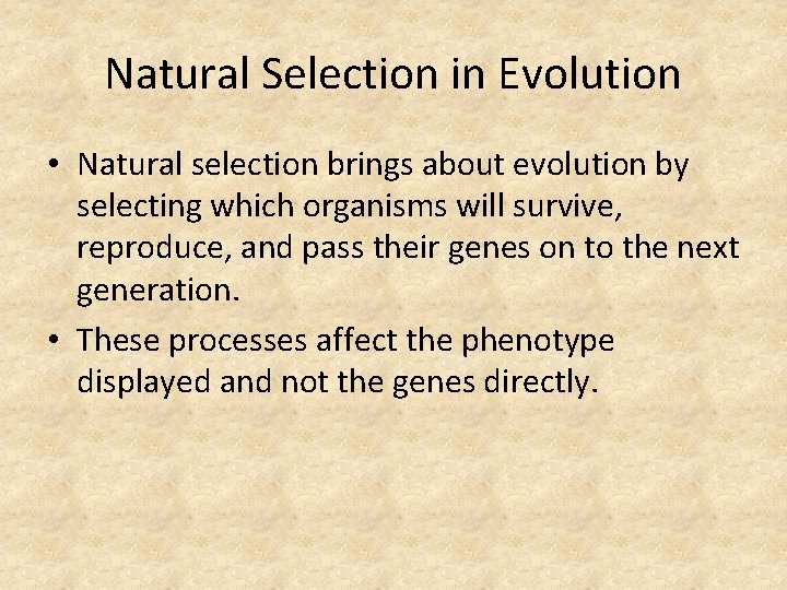 Natural Selection in Evolution • Natural selection brings about evolution by selecting which organisms