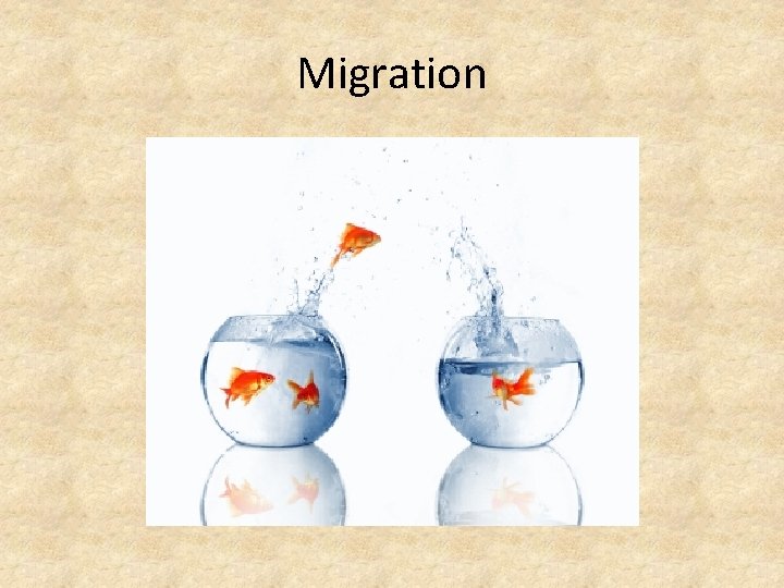 Migration 