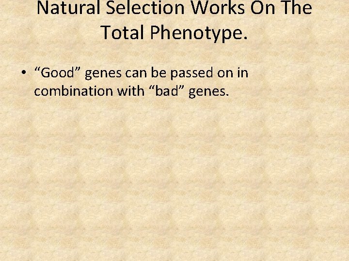 Natural Selection Works On The Total Phenotype. • “Good” genes can be passed on