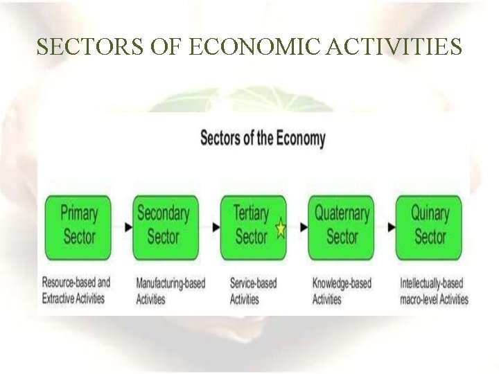 SECTORS OF ECONOMIC ACTIVITIES 