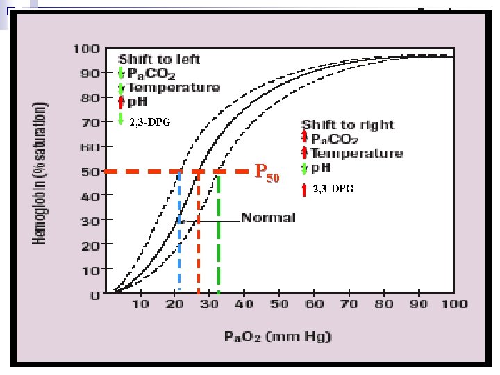 2, 3 -DPG P 50 2, 3 -DPG 