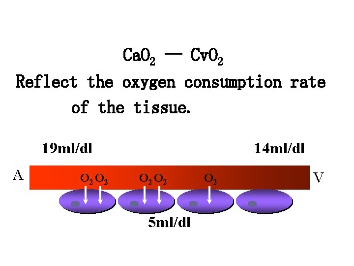 Ca. O 2 -- Cv. O 2 Reflect the oxygen consumption rate of the