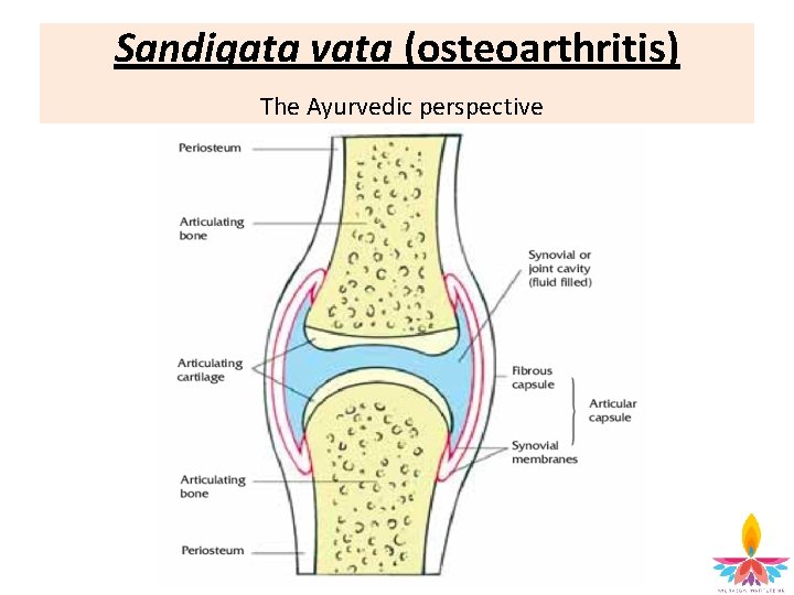 Sandigata vata (osteoarthritis) The Ayurvedic perspective 