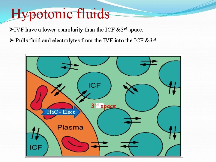 Hypotonic fluids ØIVF have a lower osmolarity than the ICF &3 rd space. Ø