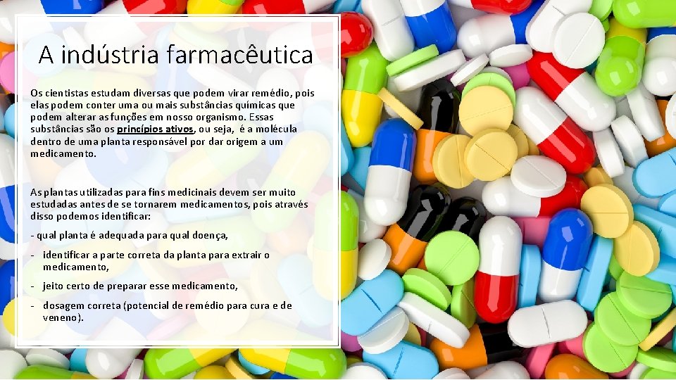 A indústria farmacêutica Os cientistas estudam diversas que podem virar remédio, pois elas podem