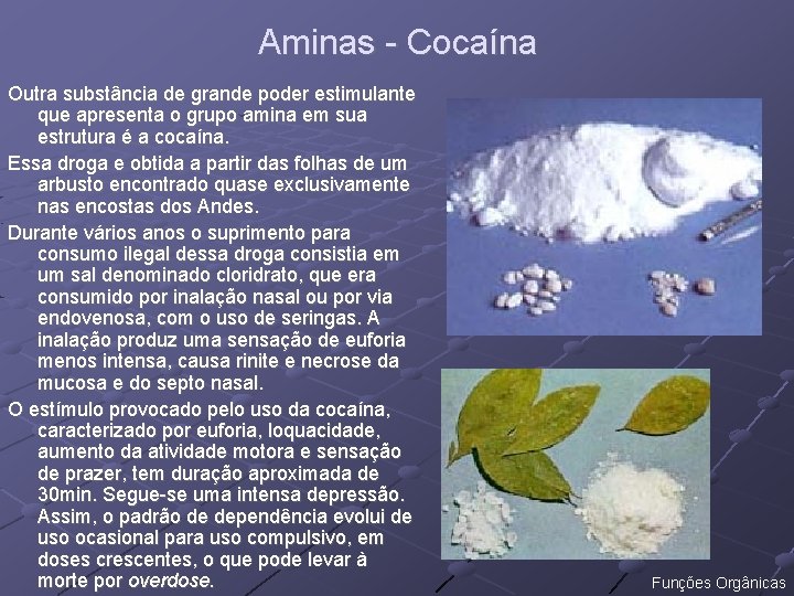 Aminas - Cocaína Outra substância de grande poder estimulante que apresenta o grupo amina