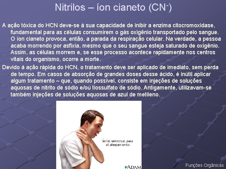 Nitrilos – íon cianeto (CN-) A ação tóxica do HCN deve-se à sua capacidade