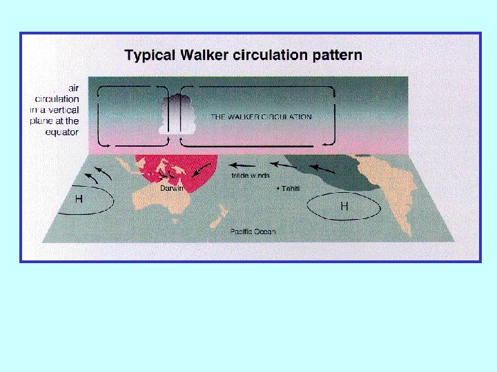 Walker circulation 