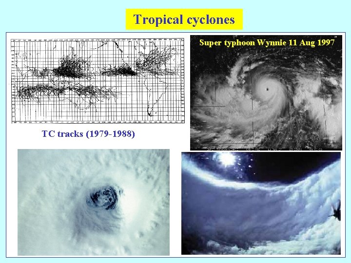 Tropical cyclones Super typhoon Wynnie 11 Aug 1997 TC tracks (1979 -1988) 