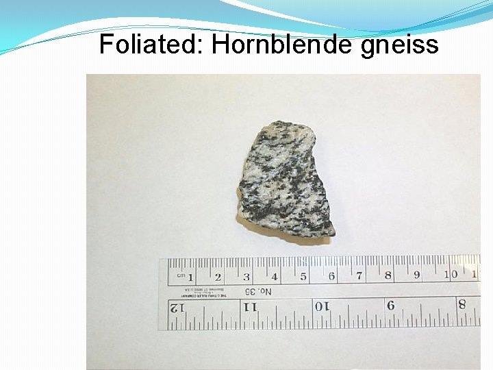 Foliated: Hornblende gneiss 