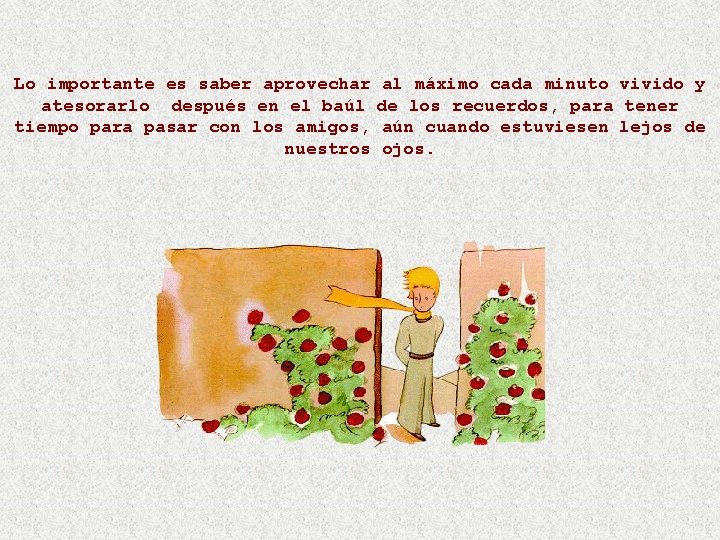 Lo importante es saber aprovechar al máximo cada minuto vivido y atesorarlo después en