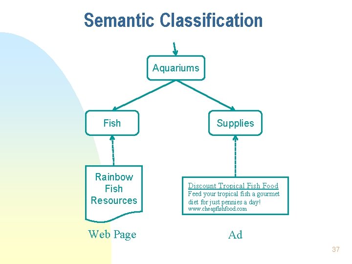 Semantic Classification Aquariums Fish Supplies Rainbow Fish Resources Discount Tropical Fish Food Web Page