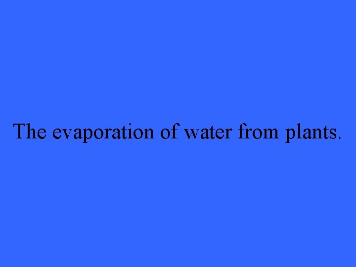 The evaporation of water from plants. 