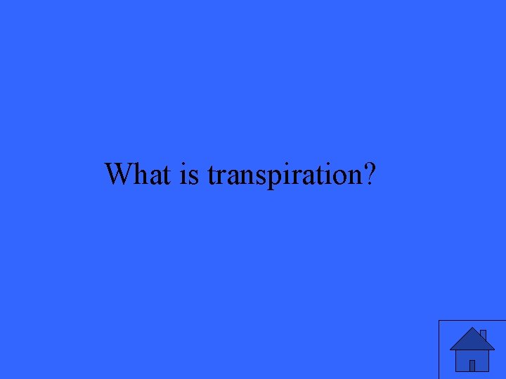 What is transpiration? 