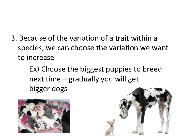 3. Because of the variation of a trait within a species, we can choose 3. Because of the variation of a trait within a species, we can choose