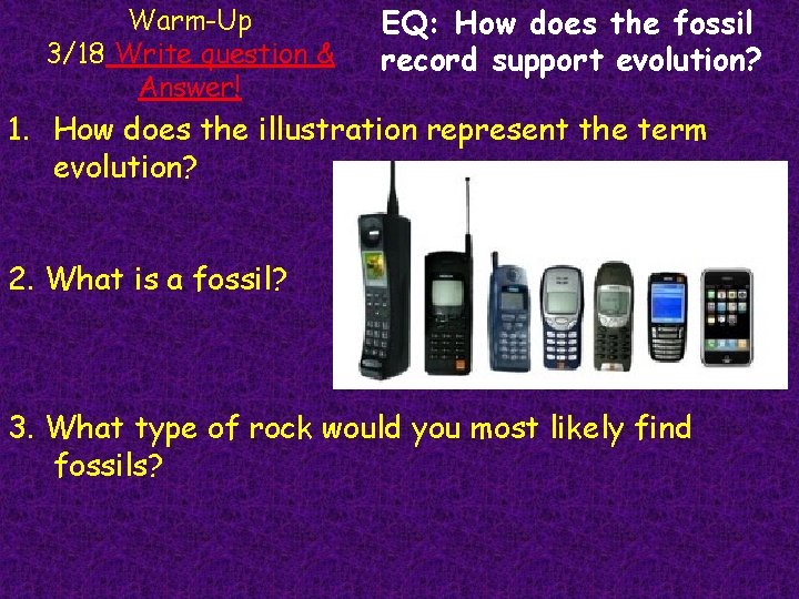 Warm-Up 3/18 Write question & Answer! EQ: How does the fossil record support evolution?