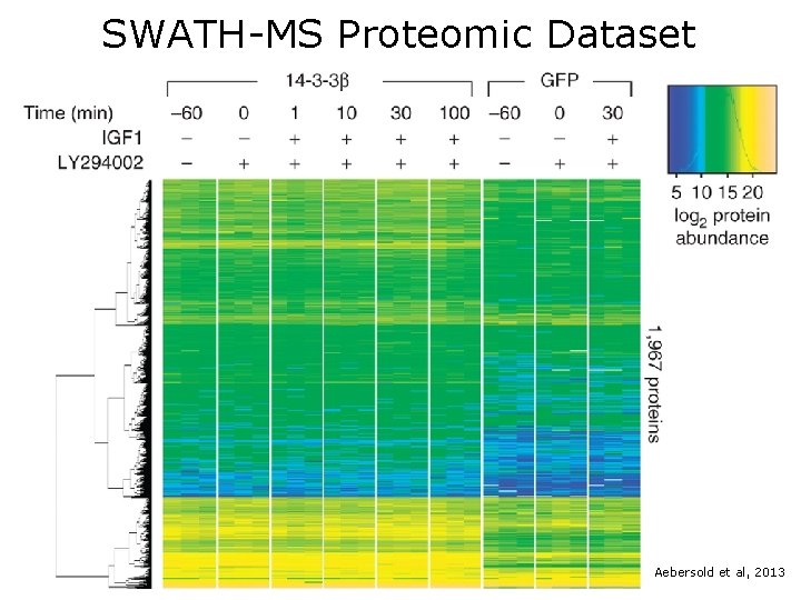 SWATH-MS Proteomic Dataset Aebersold et al, 2013 