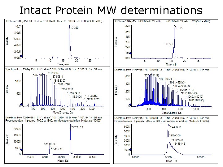 Intact Protein MW determinations 