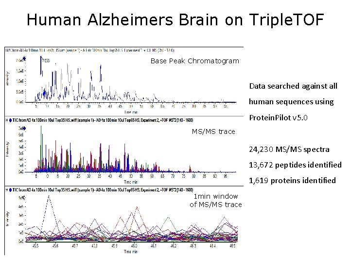 Human Alzheimers Brain on Triple. TOF Base Peak Chromatogram Data searched against all human