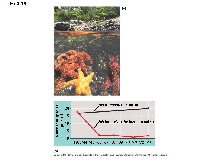 Number of species present LE 53 -16 20 With Pisaster (control) 15 10 Without
