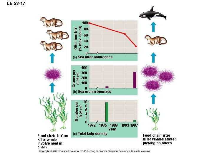 LE 53 -17 Otter number (% max. count) 100 80 60 40 20 0