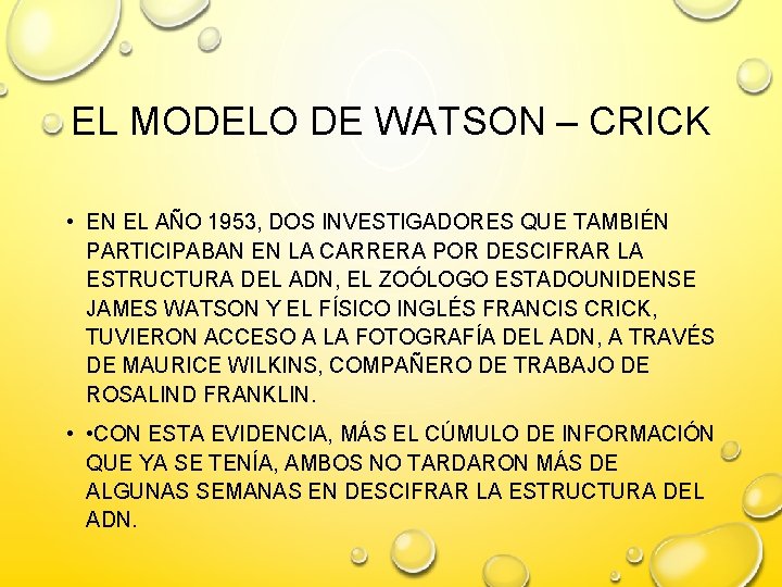 EL MODELO DE WATSON – CRICK • EN EL AÑO 1953, DOS INVESTIGADORES QUE