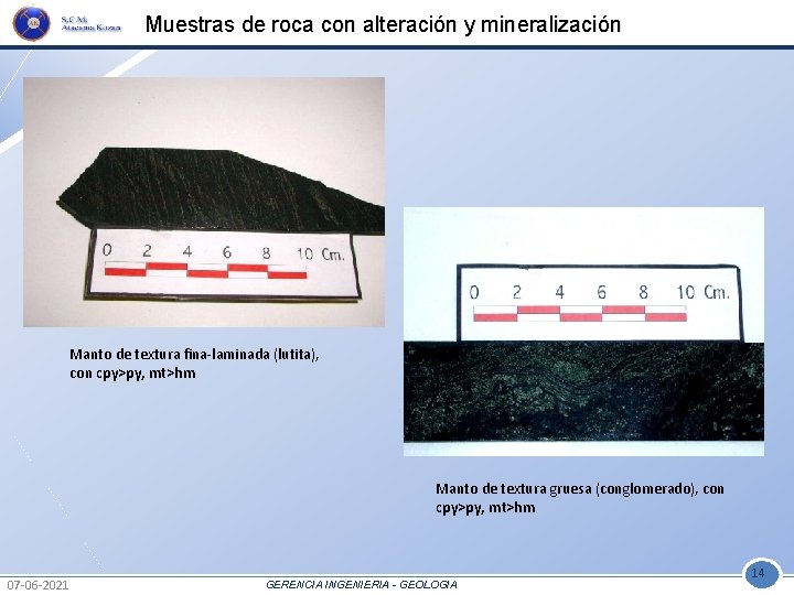 Muestras de roca con alteración y mineralización Manto de textura fina-laminada (lutita), con cpy>py,