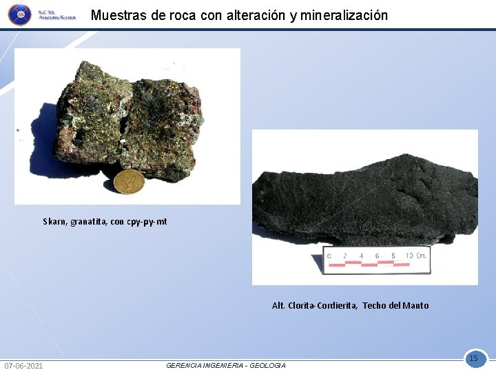 Muestras de roca con alteración y mineralización Skarn, granatita, con cpy-py-mt Alt. Clorita-Cordierita, Techo