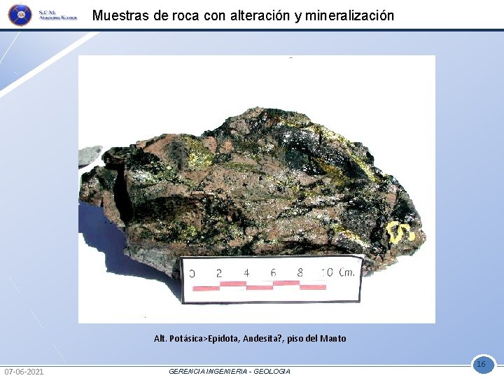 Muestras de roca con alteración y mineralización Alt. Potásica>Epidota, Andesita? , piso del Manto