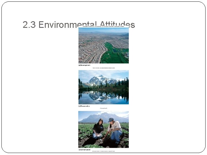 2. 3 Environmental Attitudes 
