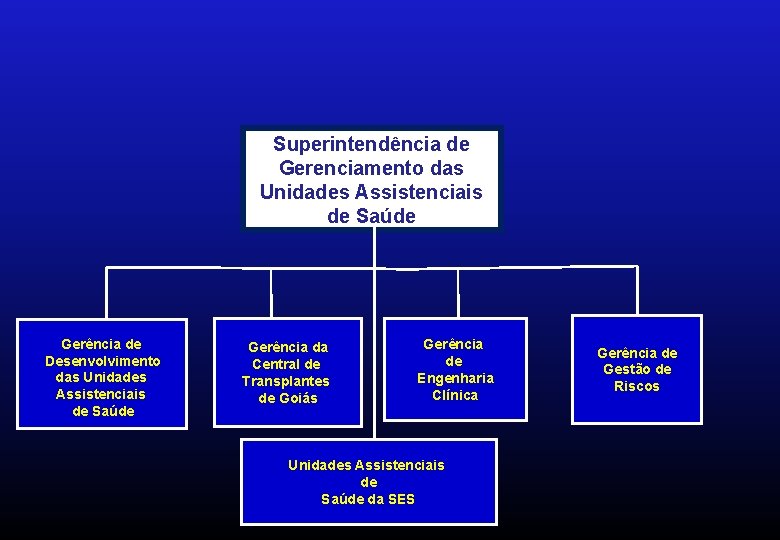 Superintendência de Gerenciamento das Unidades Assistenciais de Saúde Gerência de Desenvolvimento das Unidades Assistenciais