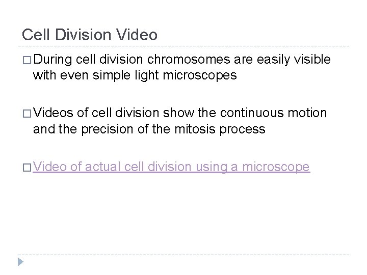 Cell Division Video � During cell division chromosomes are easily visible with even simple