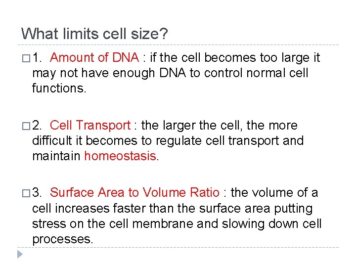 What limits cell size? � 1. Amount of DNA : if the cell becomes