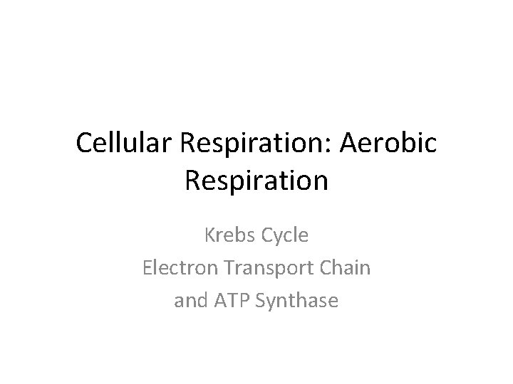 Cellular Respiration: Aerobic Respiration Krebs Cycle Electron Transport Chain and ATP Synthase 